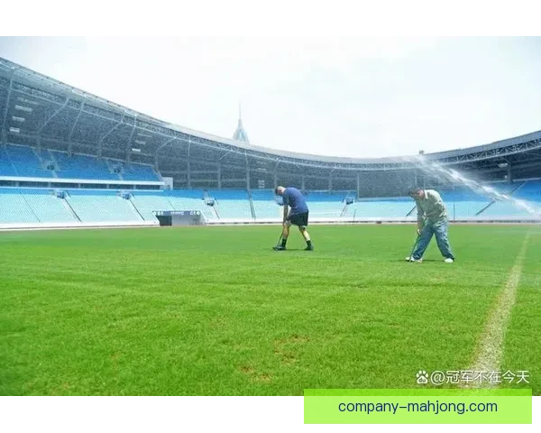 2026世界杯将采用高科技传感器实时监控球场草坪湿度提升比赛体验